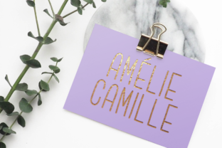 Amélie Camille Font: A Designer’s Review for Branding and Creative Projects