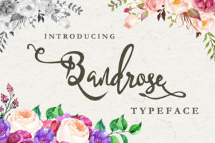 Bandrose Family: A Warm Typeface for Editorial Design