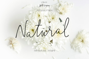 How a Simple Font Choice Transformed My Small Business Branding