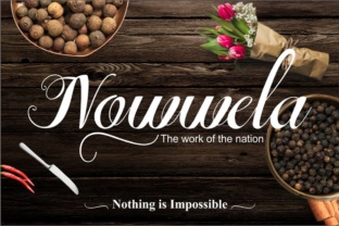 Nowwela: A Modern Script Font for Luxurious Editorial Design