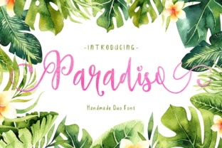 Paradiso Duo: A Designer’s Honest Review for Real-World Use