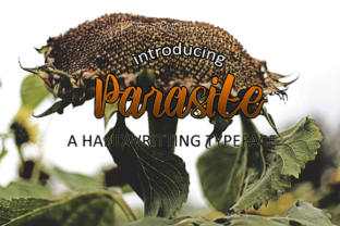 Parasite Font: Bold Handwriting for Modern Web Design